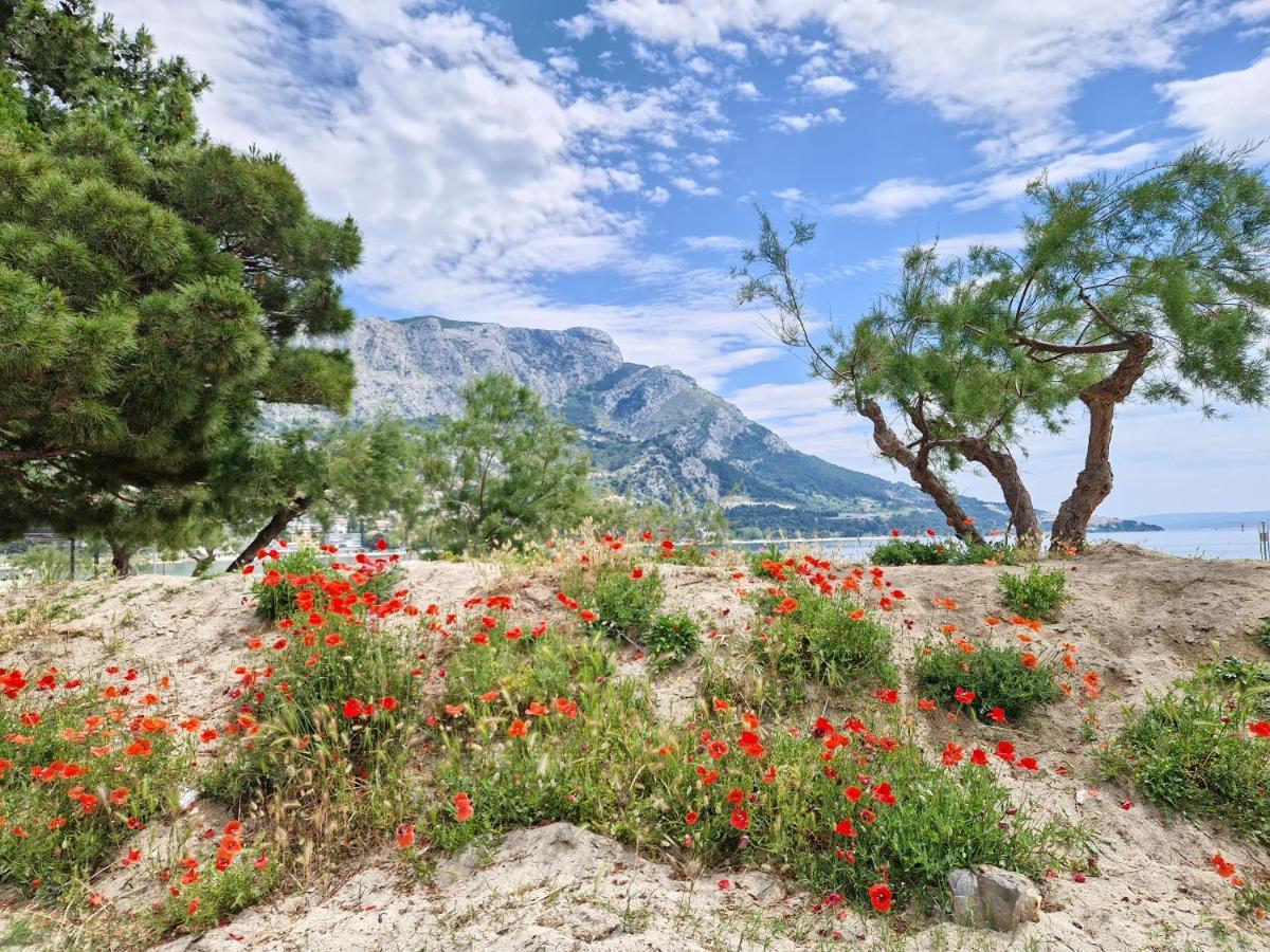Apartman River Breeze Omiš Exterior foto
